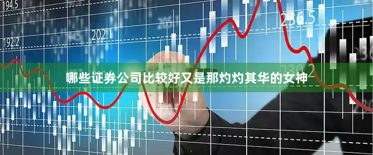 哪些证券公司比较好又是那灼灼其华的女神