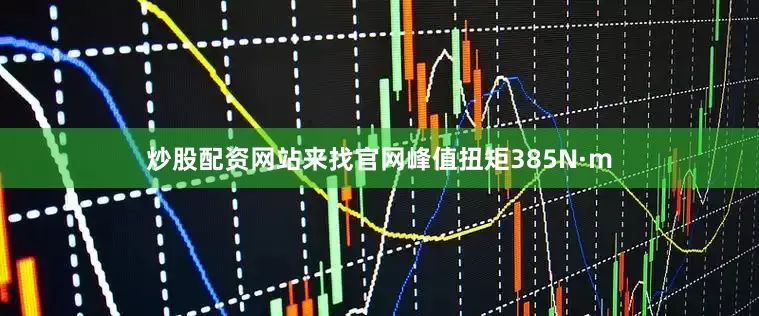 炒股配资网站来找官网峰值扭矩385N·m