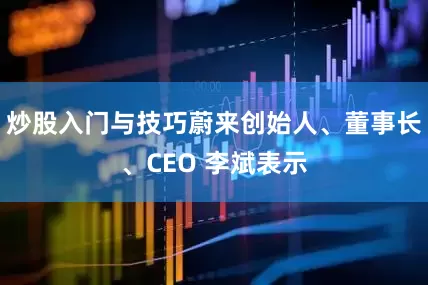 炒股入门与技巧蔚来创始人、董事长、CEO 李斌表示