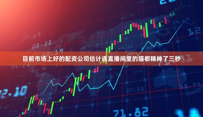 目前市场上好的配资公司估计连直播间里的猫都精神了三秒