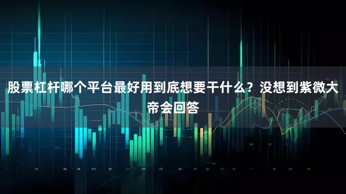 股票杠杆哪个平台最好用到底想要干什么？没想到紫微大帝会回答